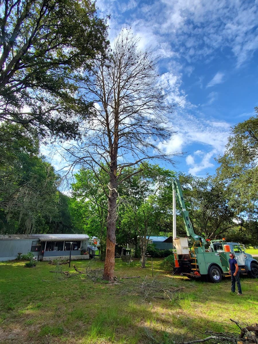 J&C Tree Service