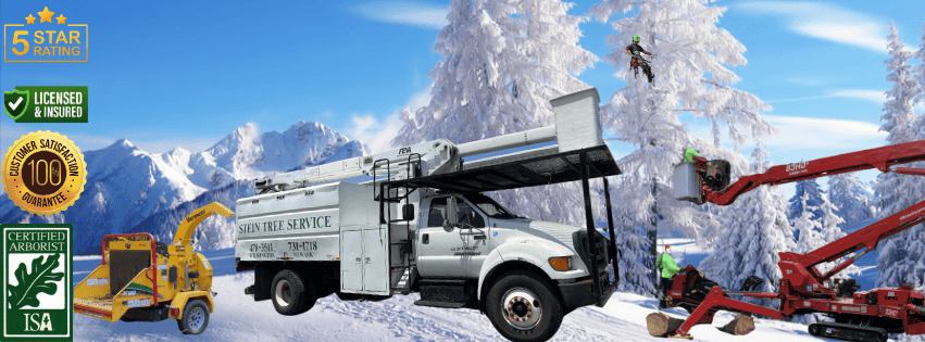 Stein Tree Service