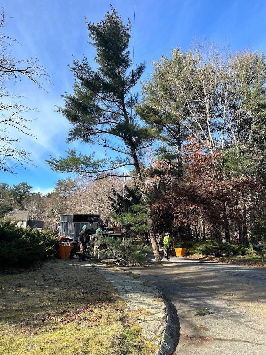 Bridgewater Tree Farm Inc.