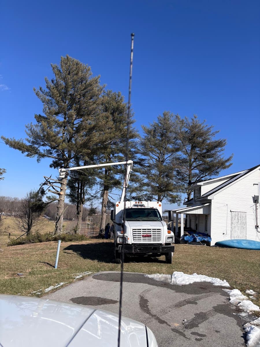 A-1 Nantz & Sons Tree Service