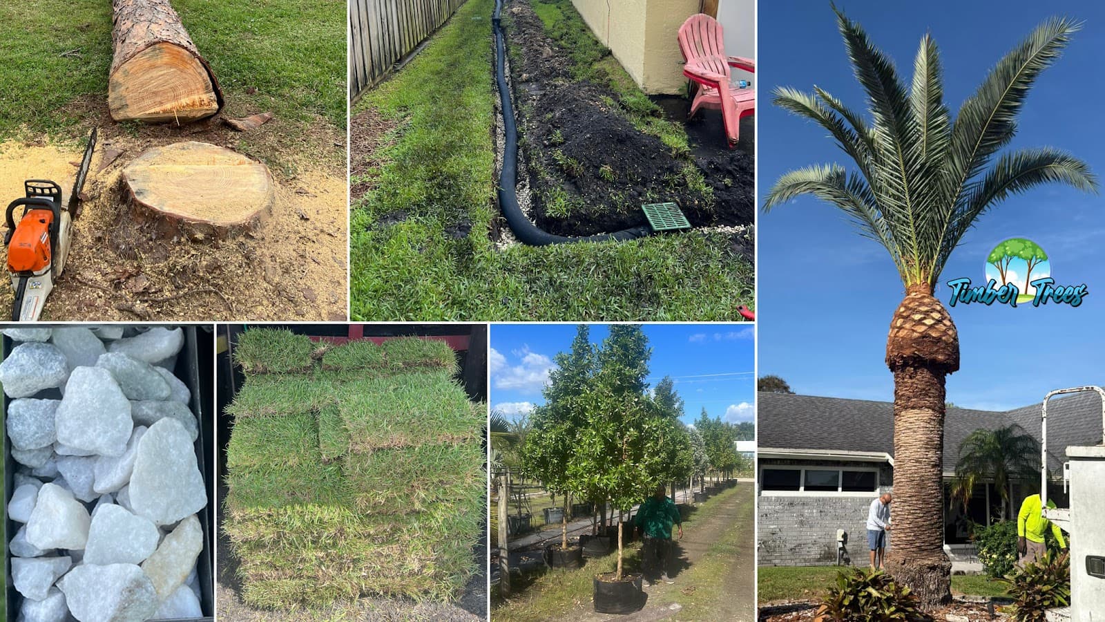 Timber Trees Landscaping Fort Lauderdale | Tree Service, Trimming, Removal, Lawn Care