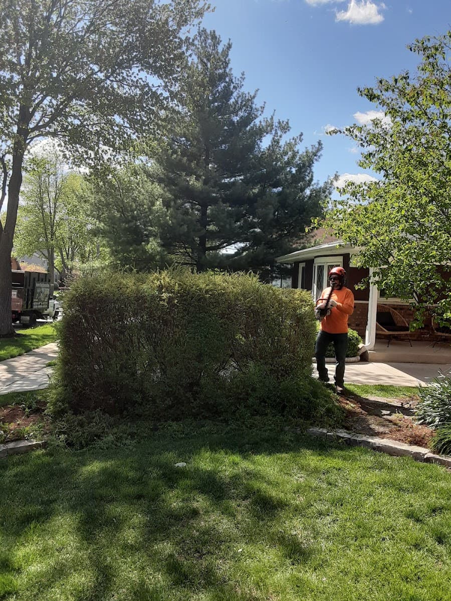 Infinity Tree Services Corp.