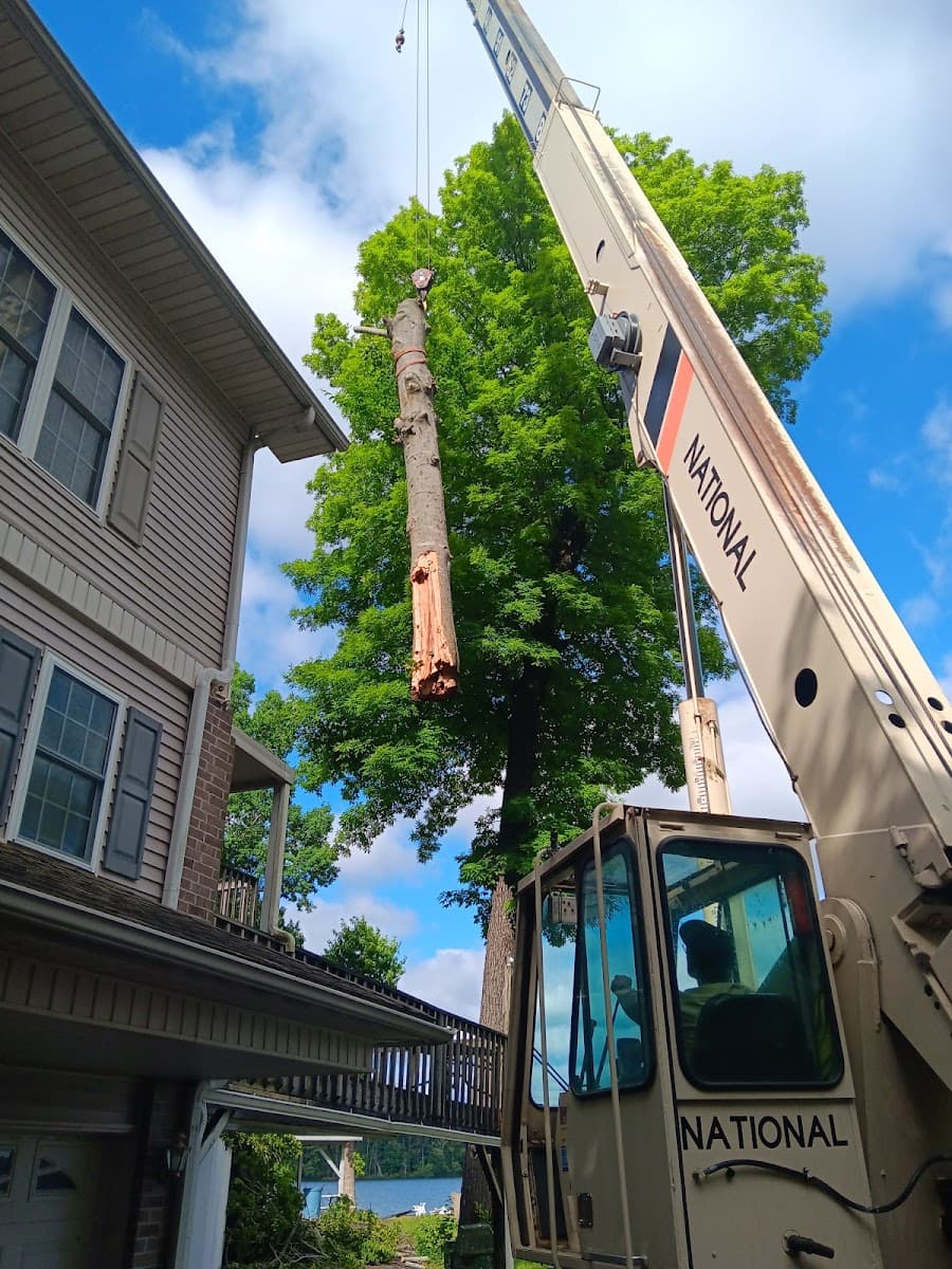 LOTT'S A-PLUS TREE SERVICE