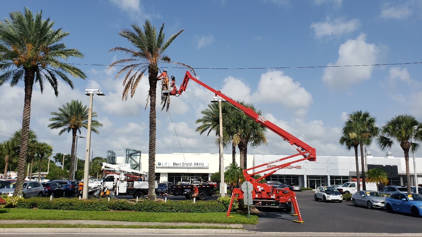 Lee Claxton, ISA Certified Arborist Tree Service