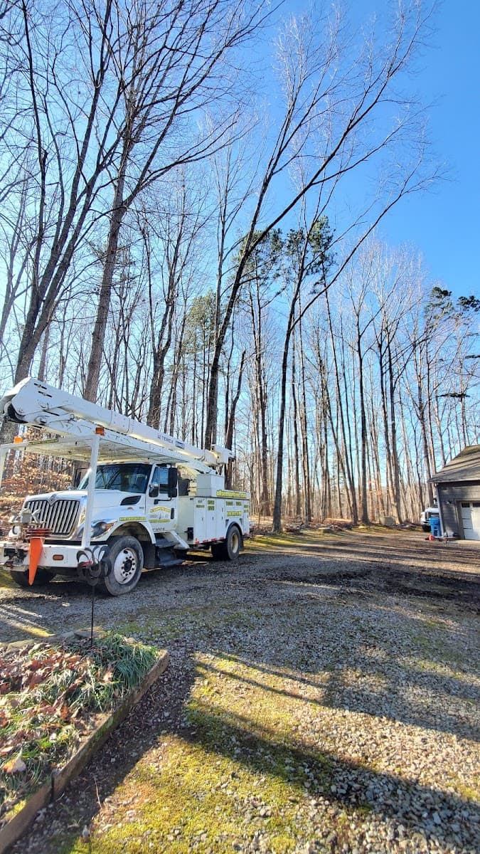 All Seasons Tree Service Inc