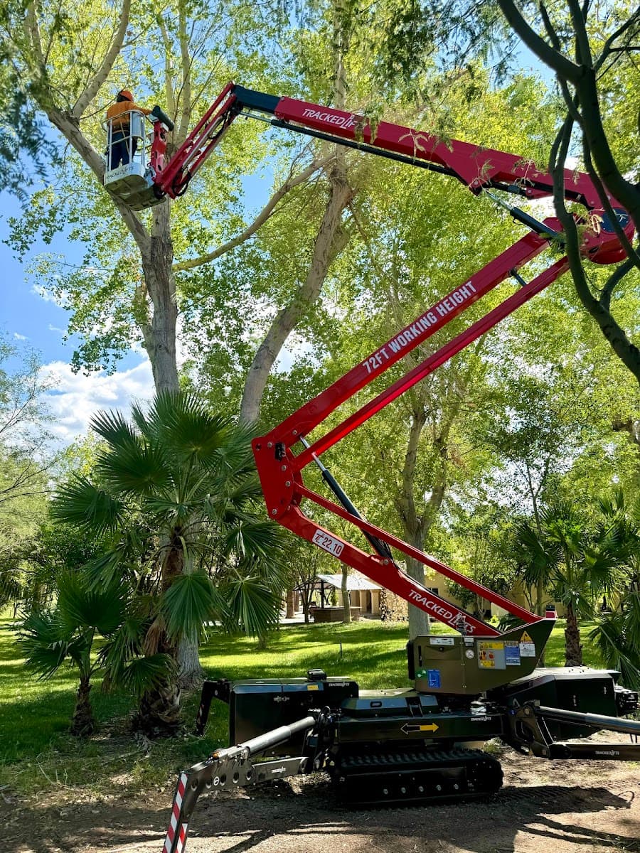 Desert Canopy Tree Service LLC