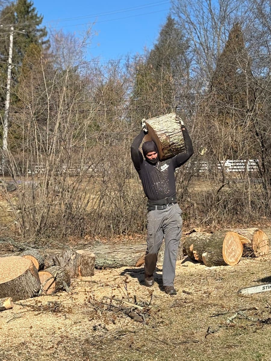 One Tree Solutions Inc