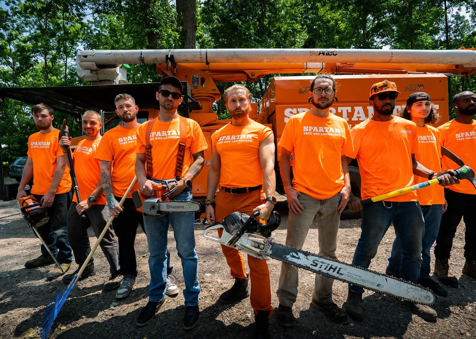 Spartan Tree and Landscape