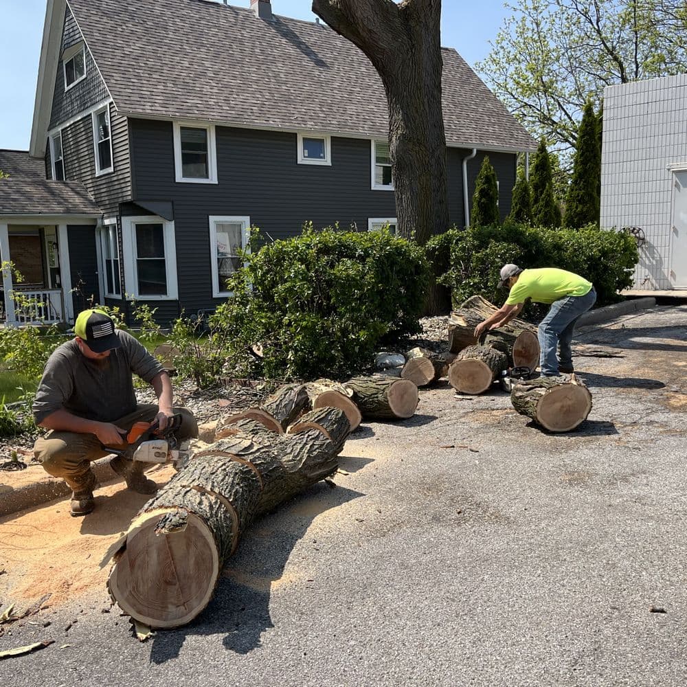 Ultimate Tree Service LLC