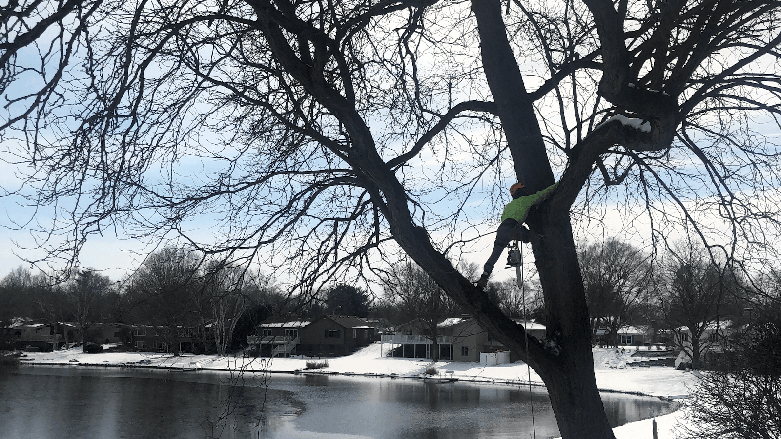 Sagastumes Tree Service’s