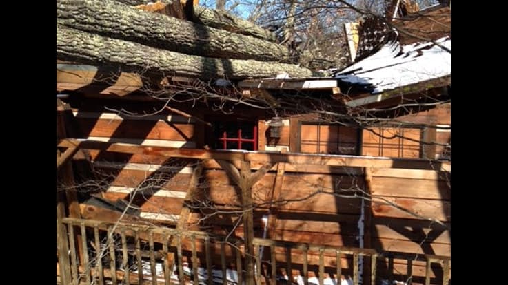 Little A's Tree Service