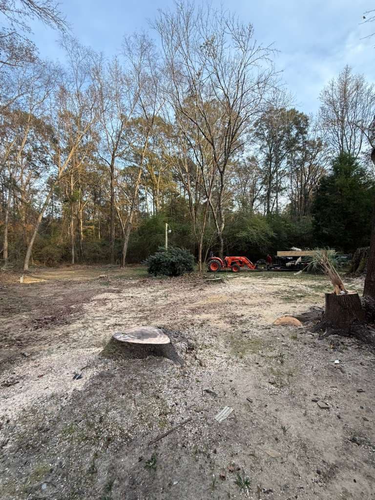 Miguel’s tree service LLC