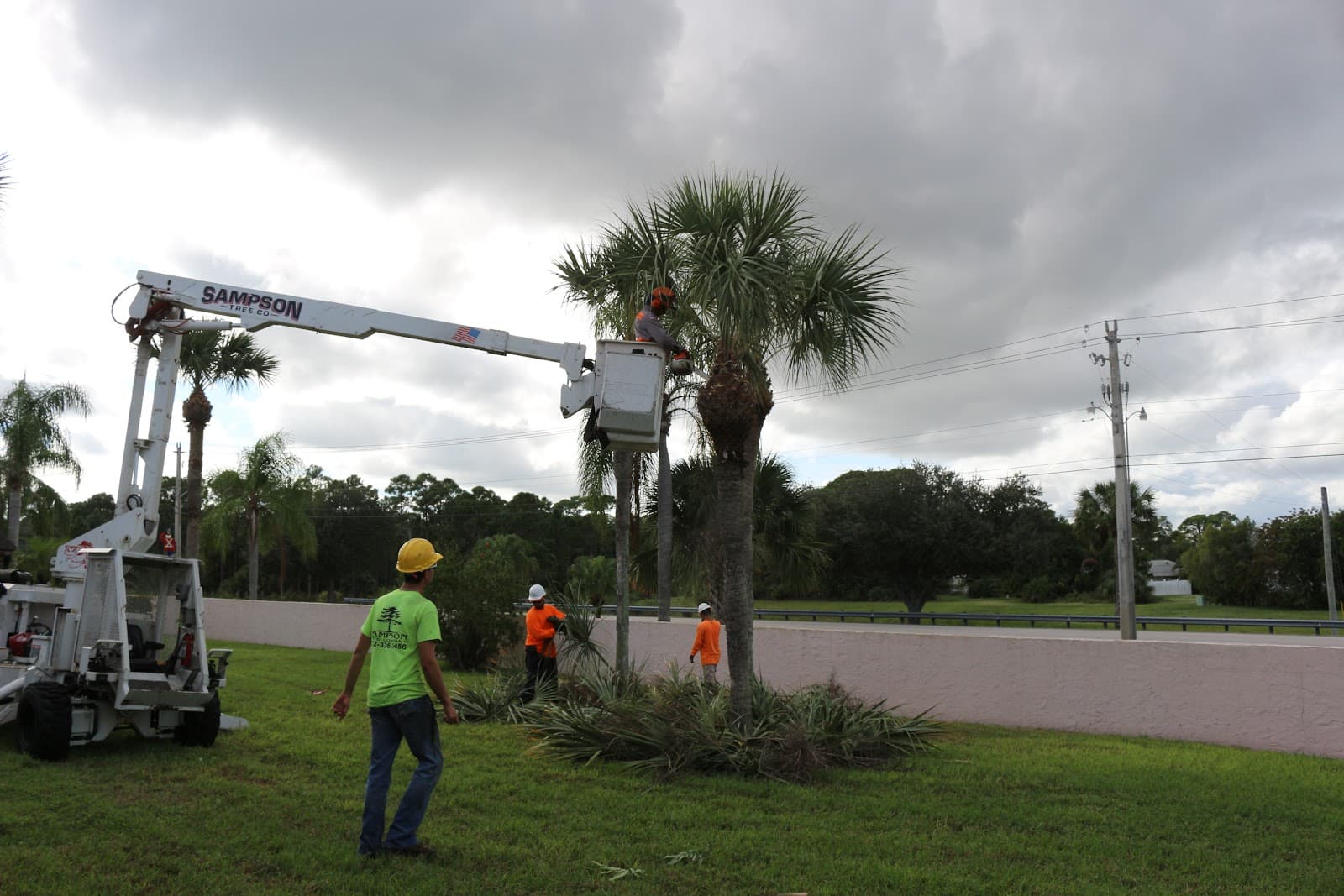 Sampson Tree Service
