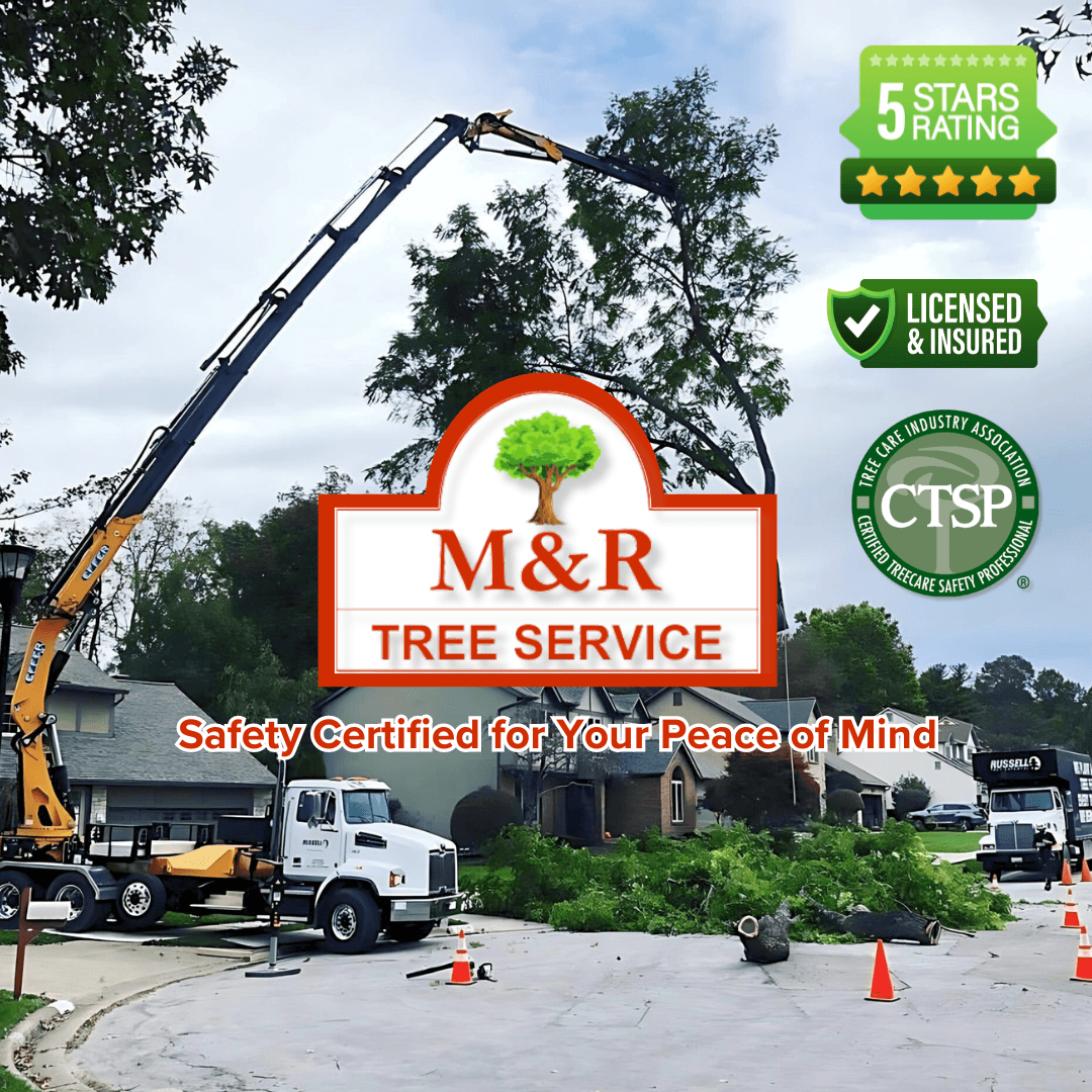 M & R Tree Service