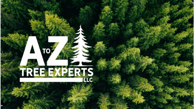 AtoZ Tree Experts LLC