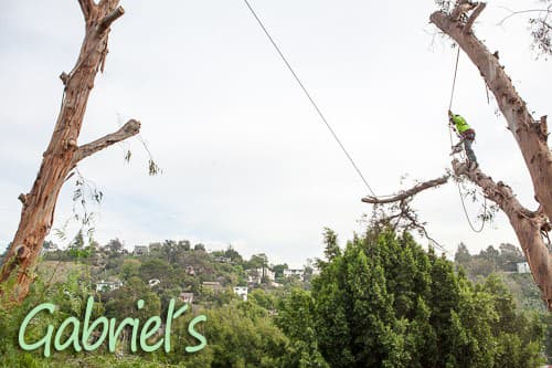 Gabriel´s Tree Service And Landscaping