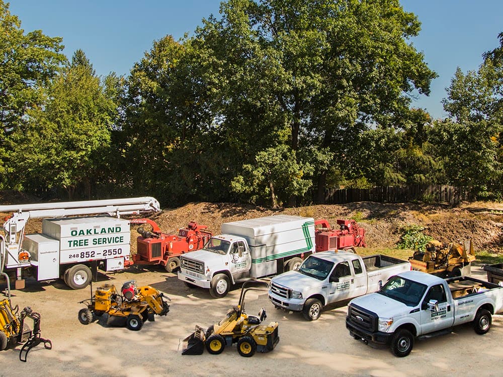 Oakland Tree Service LLC