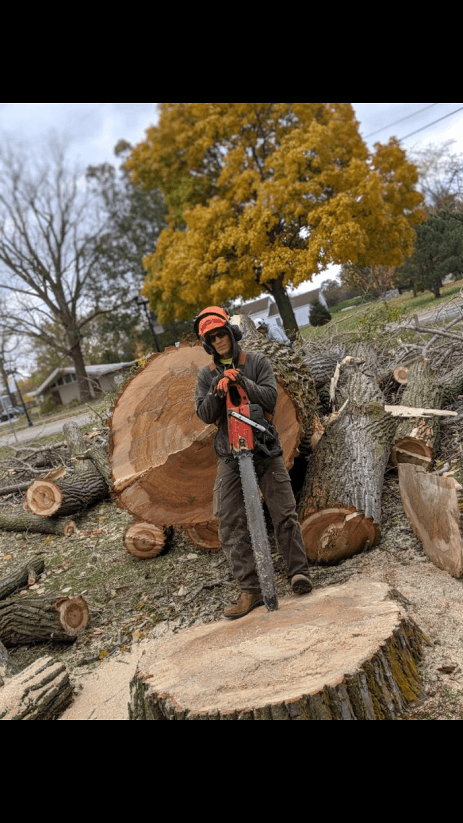 Jeffries Tree Removal, LLC