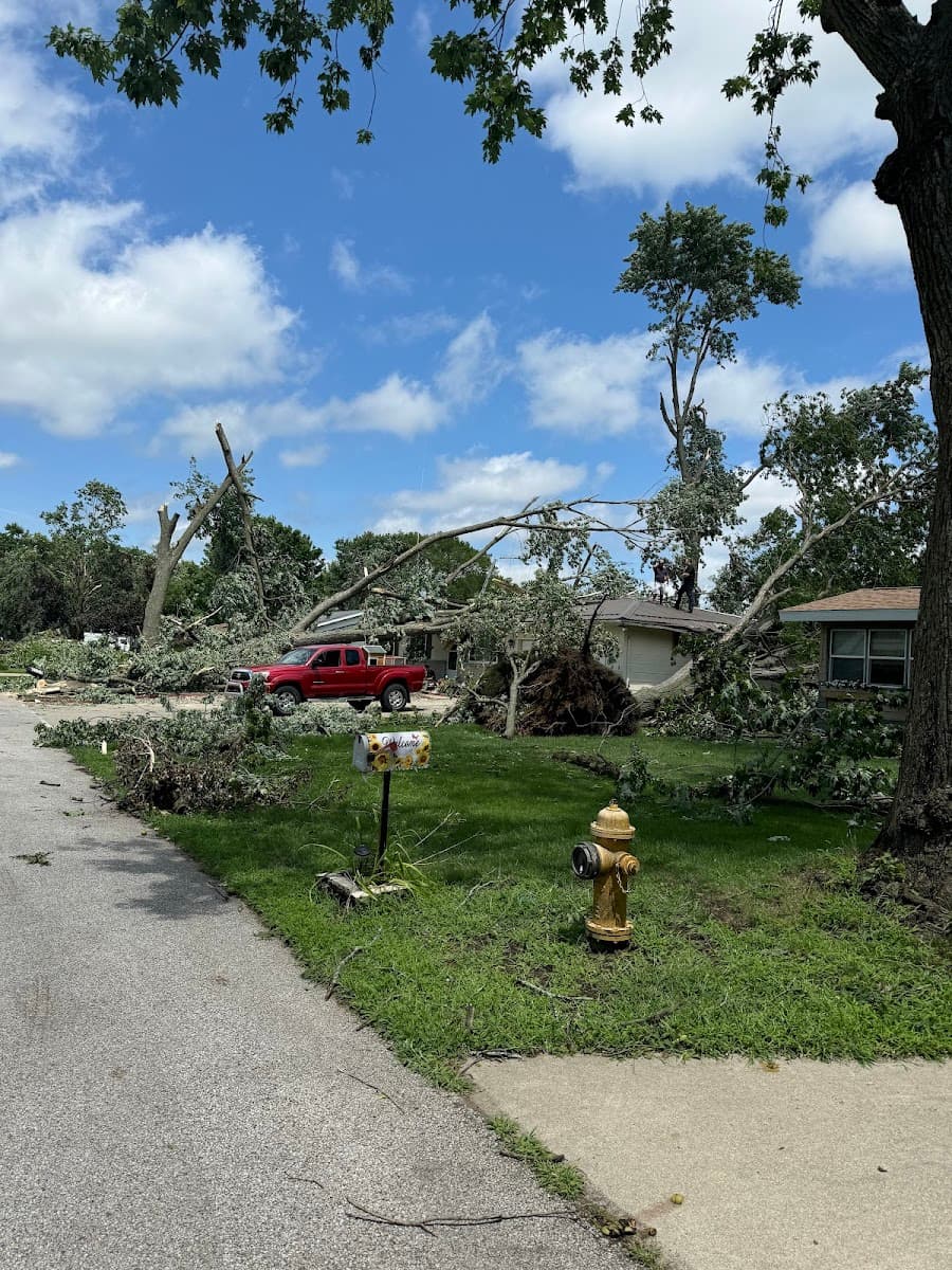 M&E tree service LLC St Joe county,Sturgis, Lagrange Indiana, Elkhart Indiana