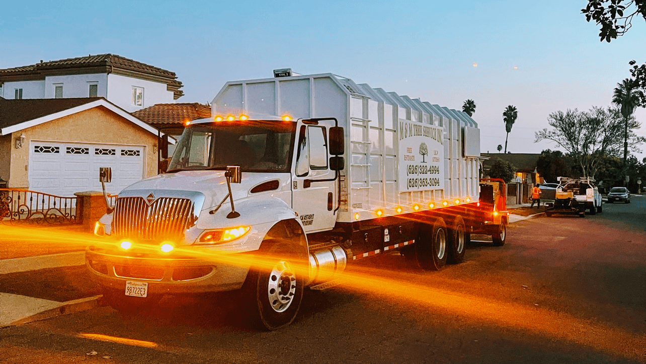 M&M Tree Service Inc.