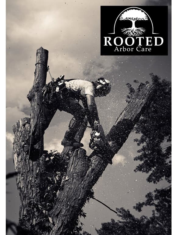 Rooted Arbor Care