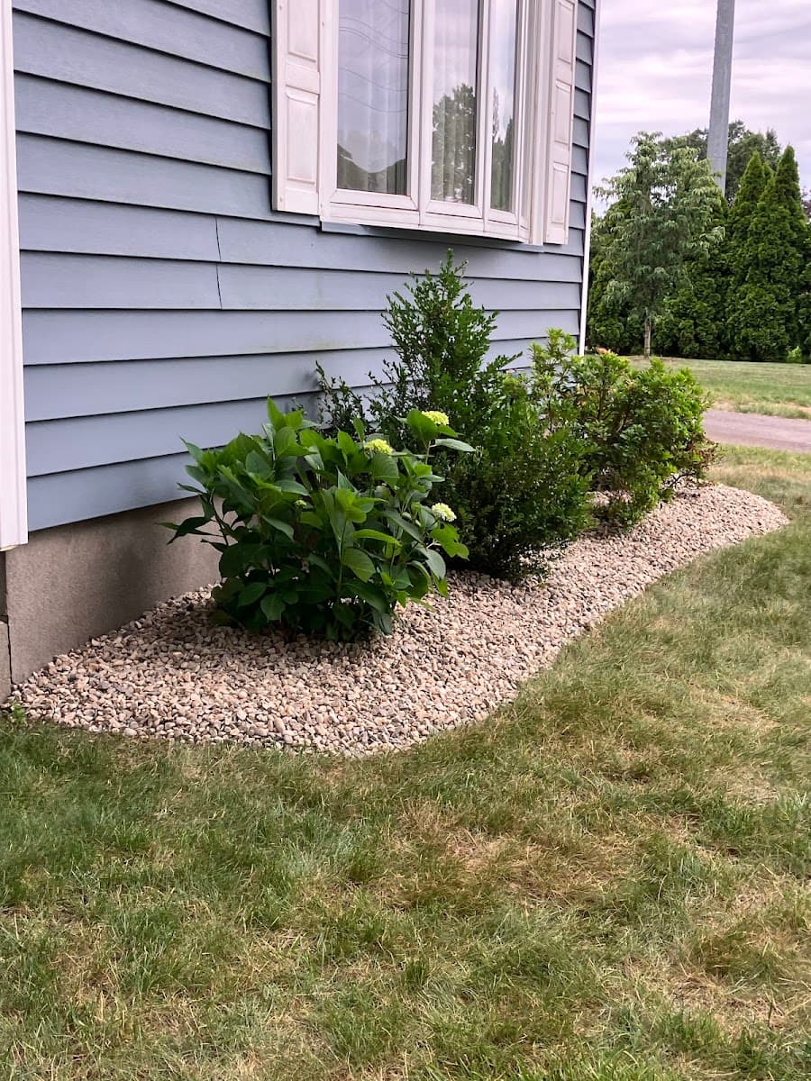 Mike's Tree Service & Landscaping