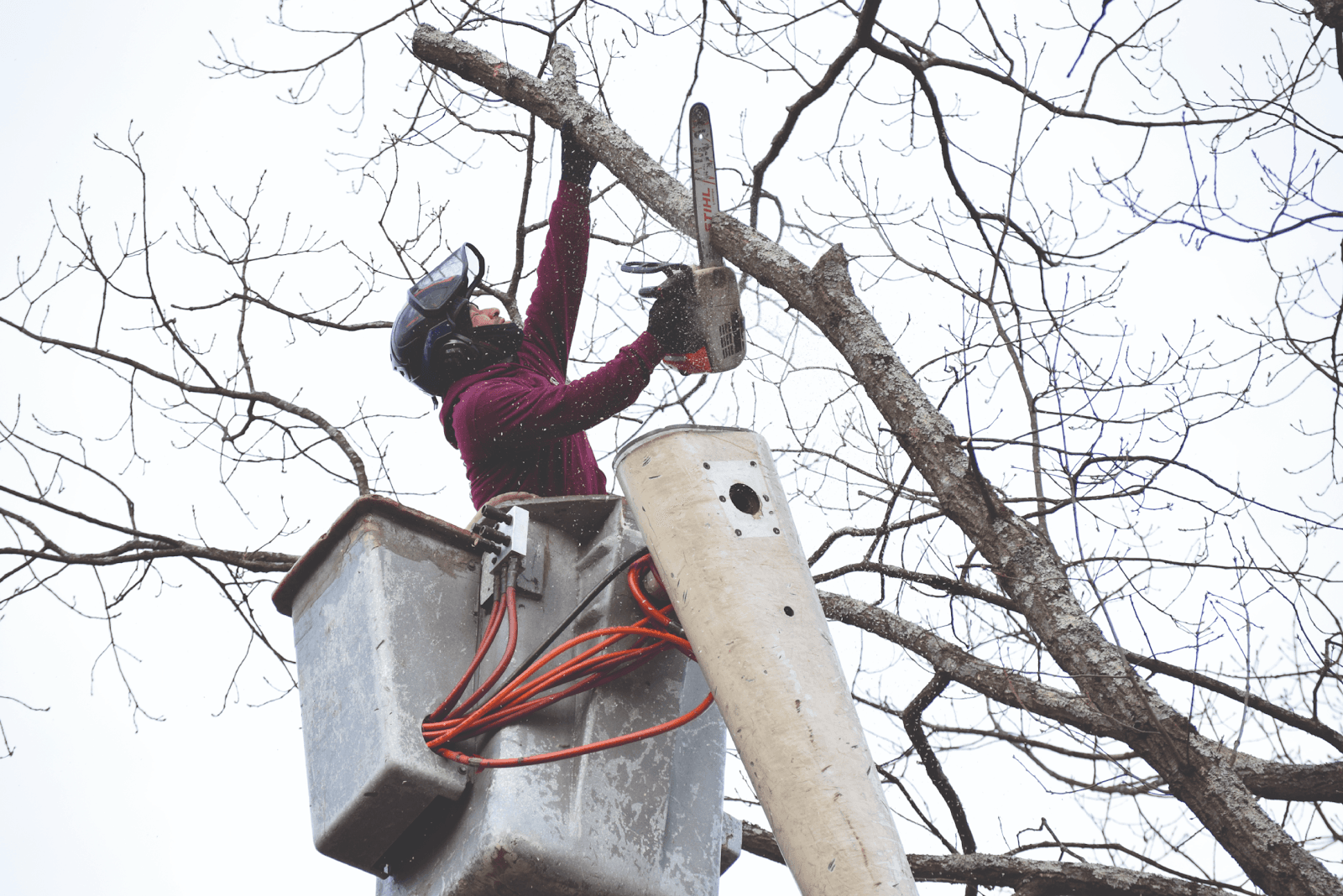 Markovski Landscaping & Tree Service