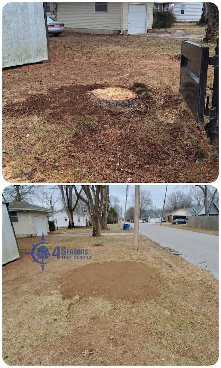 4 Seasons Tree Service