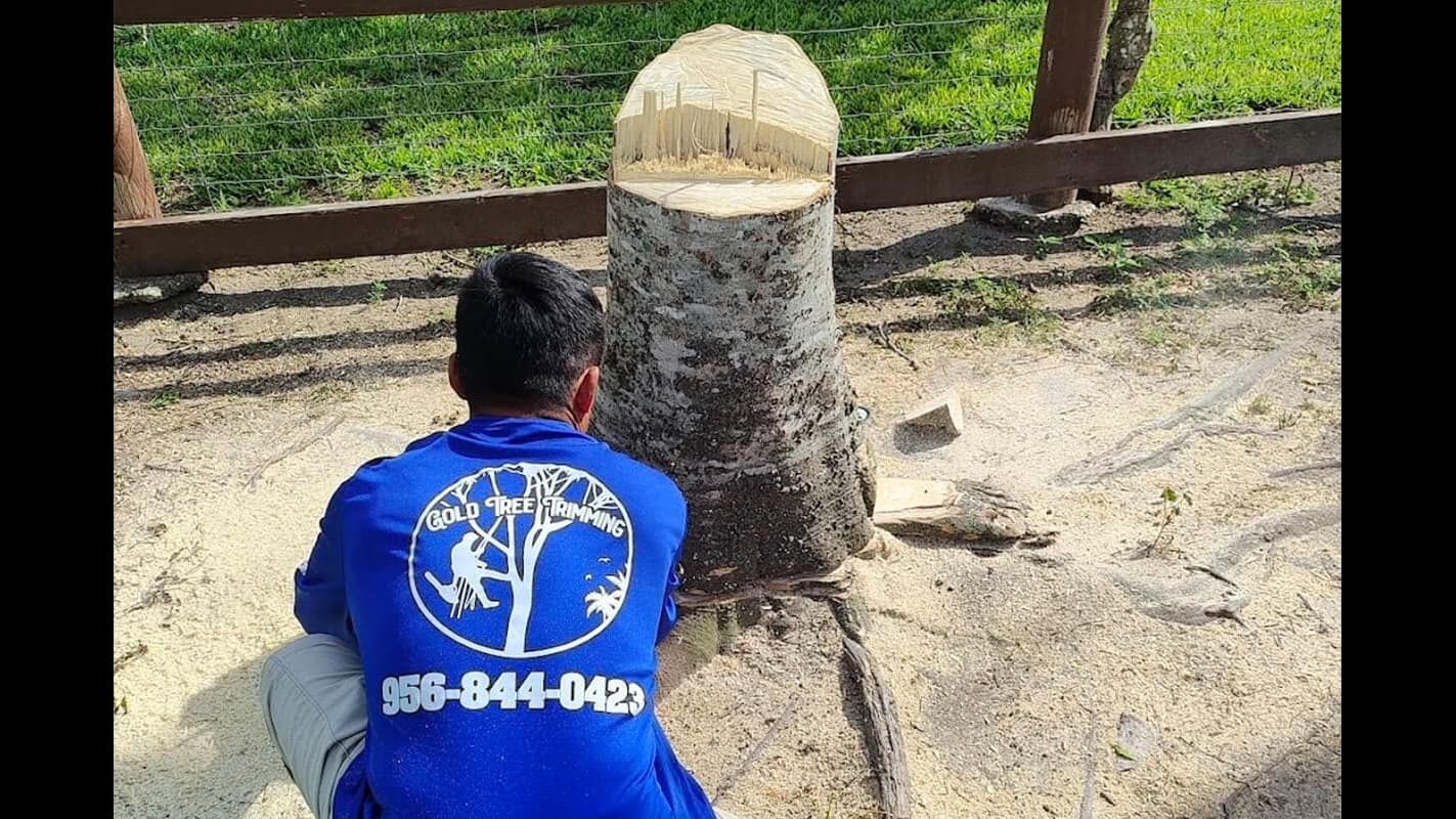 Gold Tree Trimming LLC.