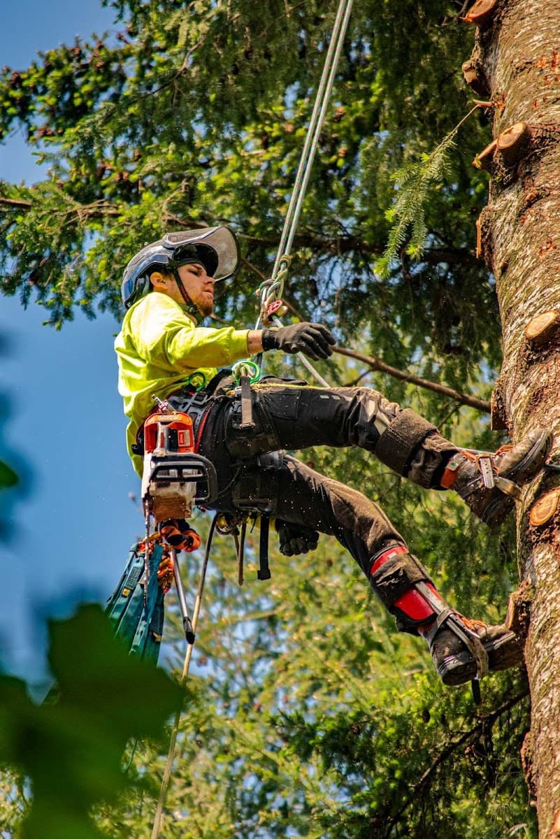 Alpha Tree Care, LLC