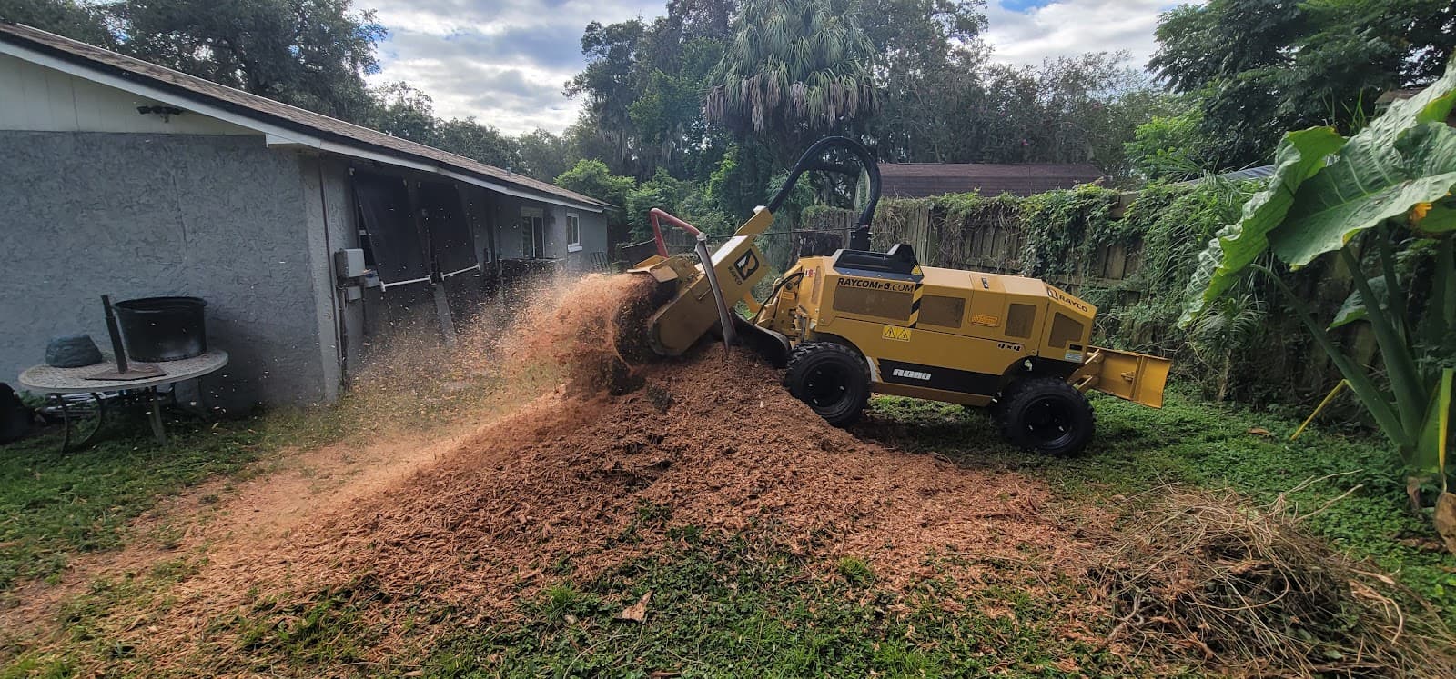 Bionic Beaver Stump Grinding