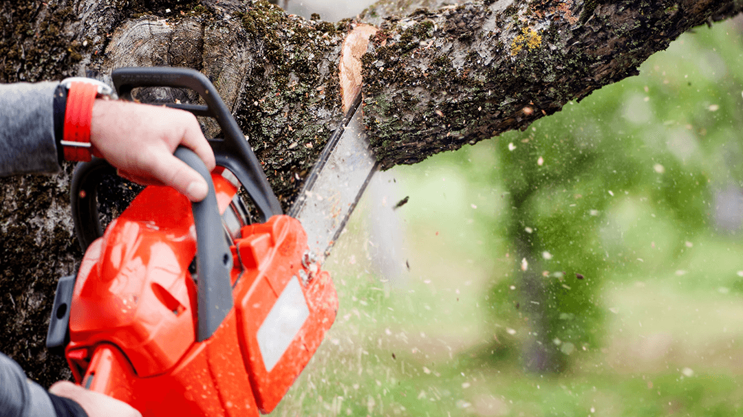 Ledford Tree Service