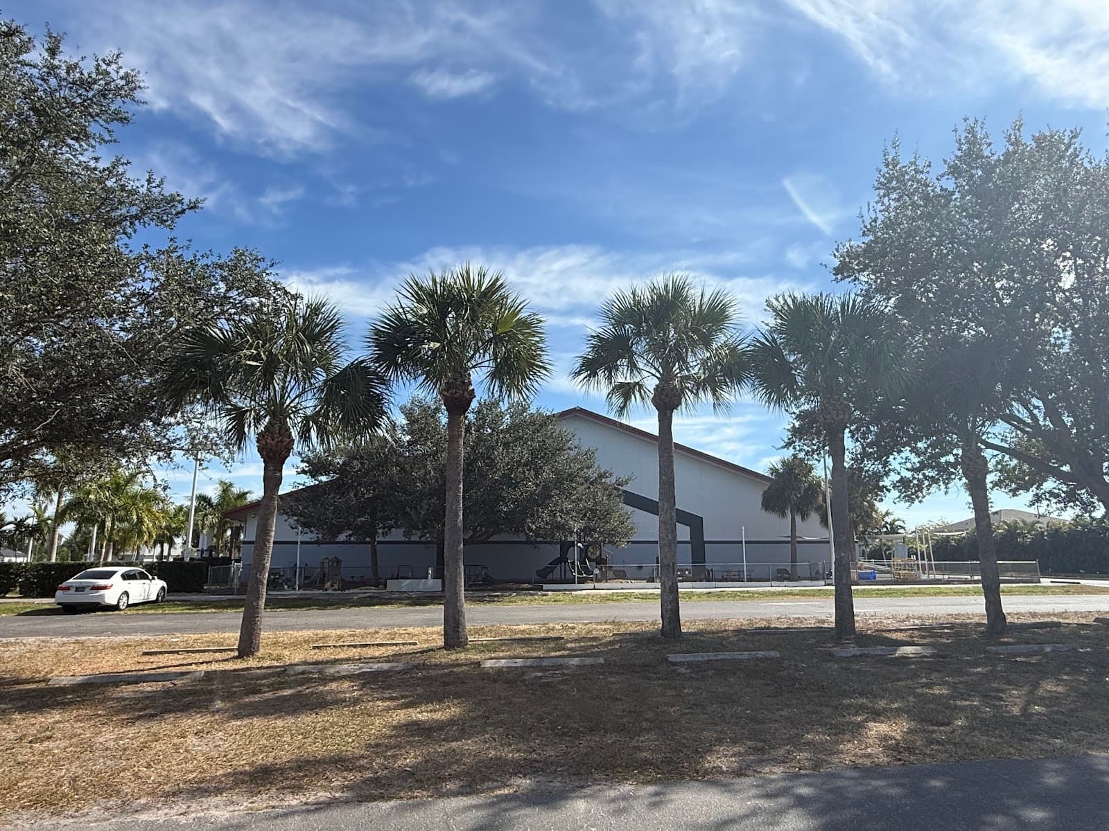 Tree Care Of SWFL LLC