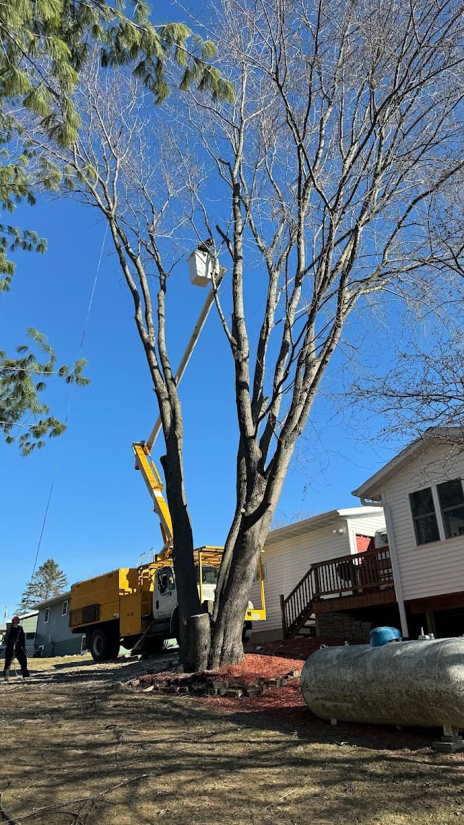 Tree Sixty Tree Service