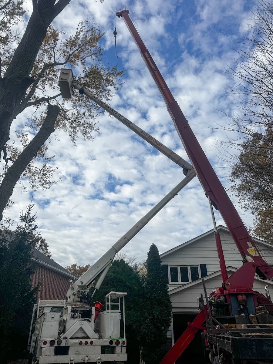 JRN Tree Services, LLC