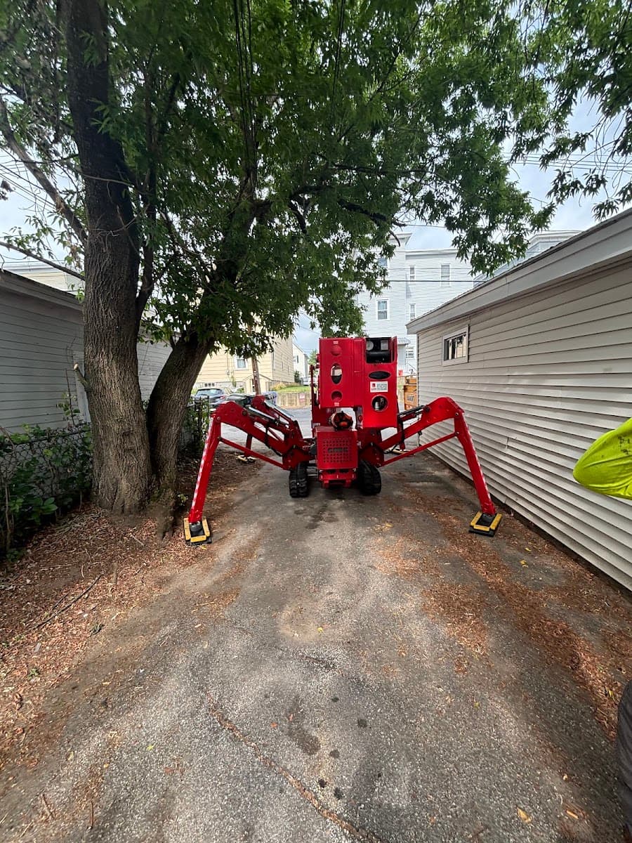 Higher Ground Tree Removal