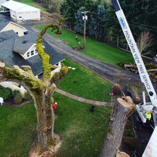 Mountain View Tree Service