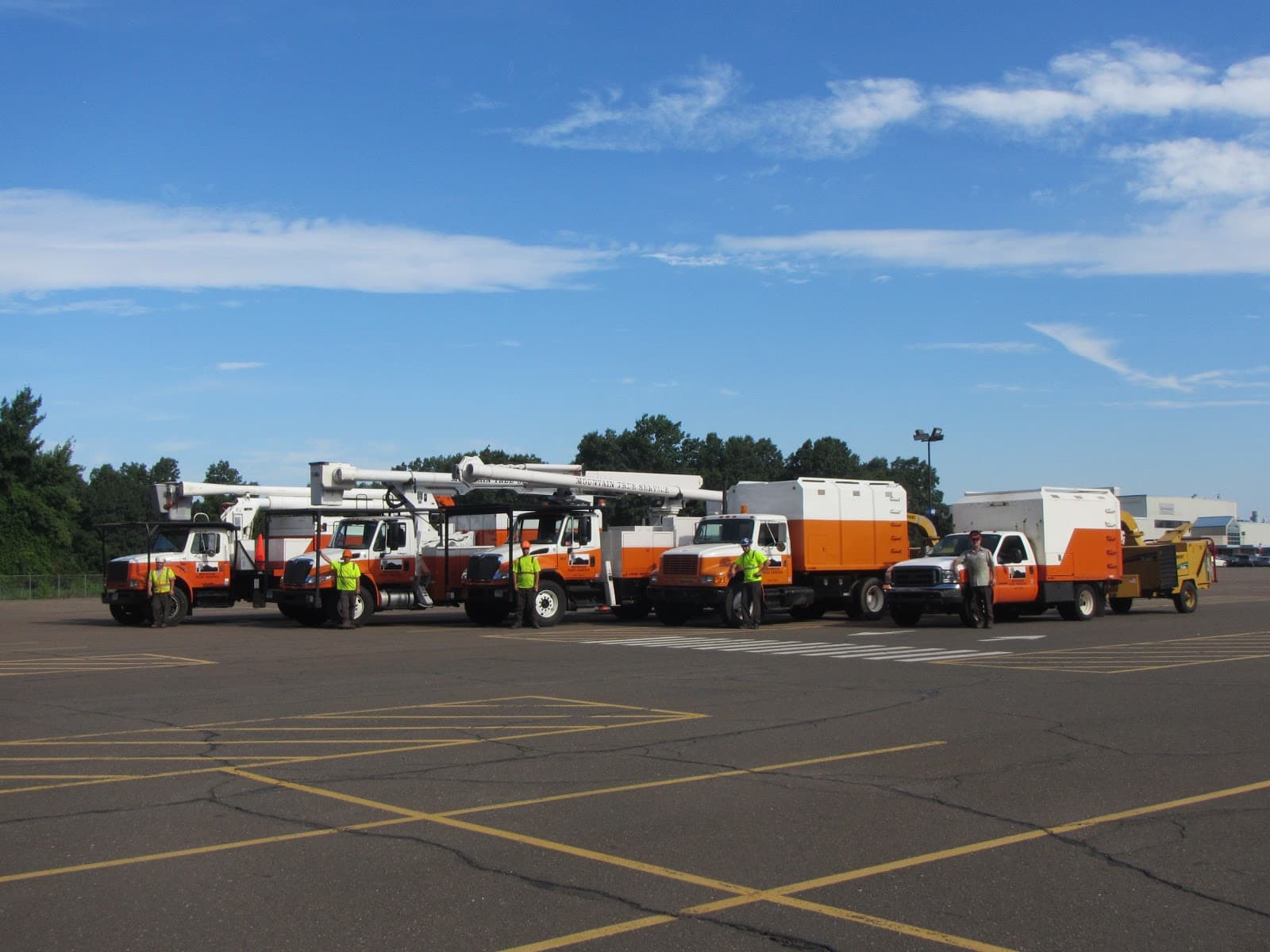 Mountain Tree Service, Inc.