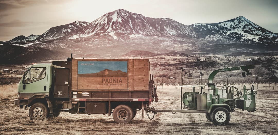 Paonia Tree Services