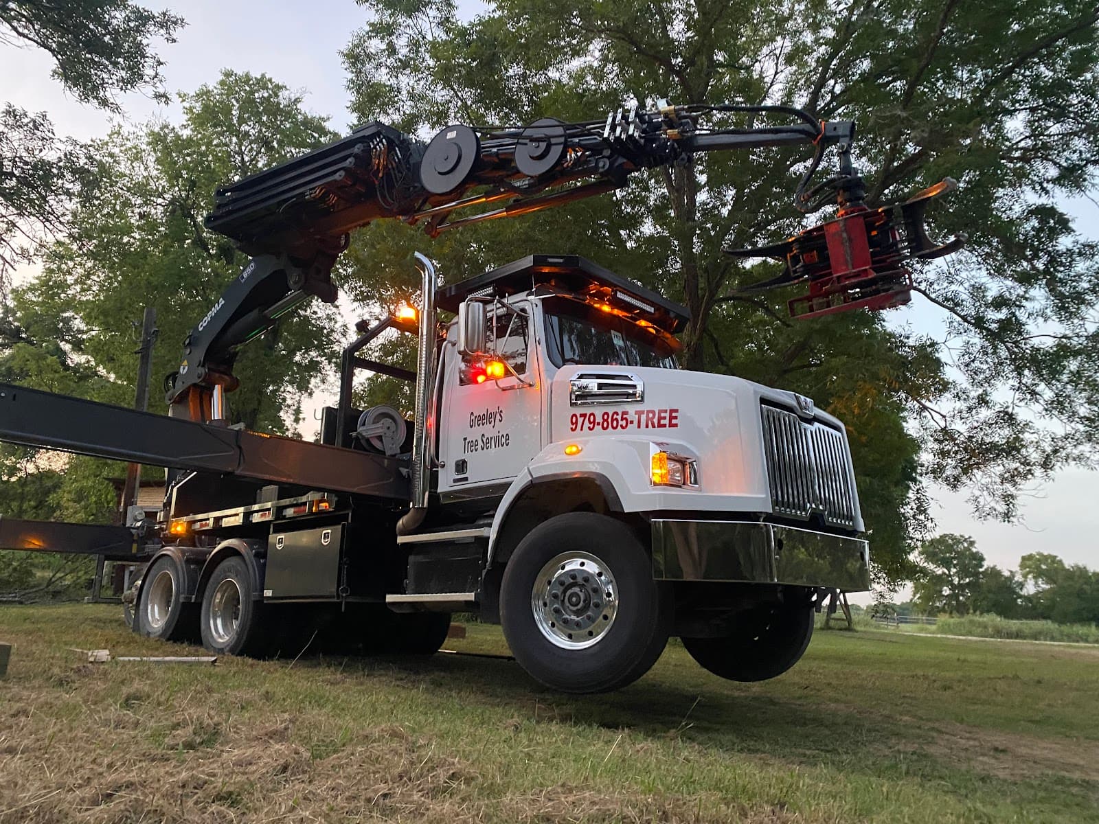 Greeley's Tree Service