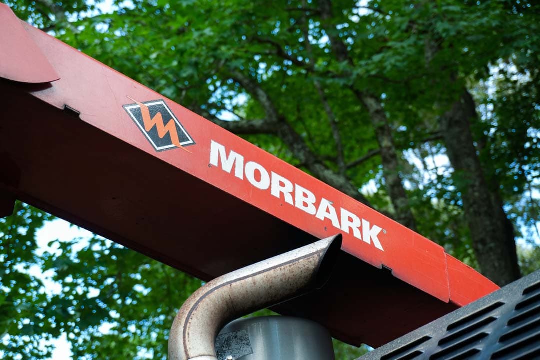 Vilchis Tree Services Pro