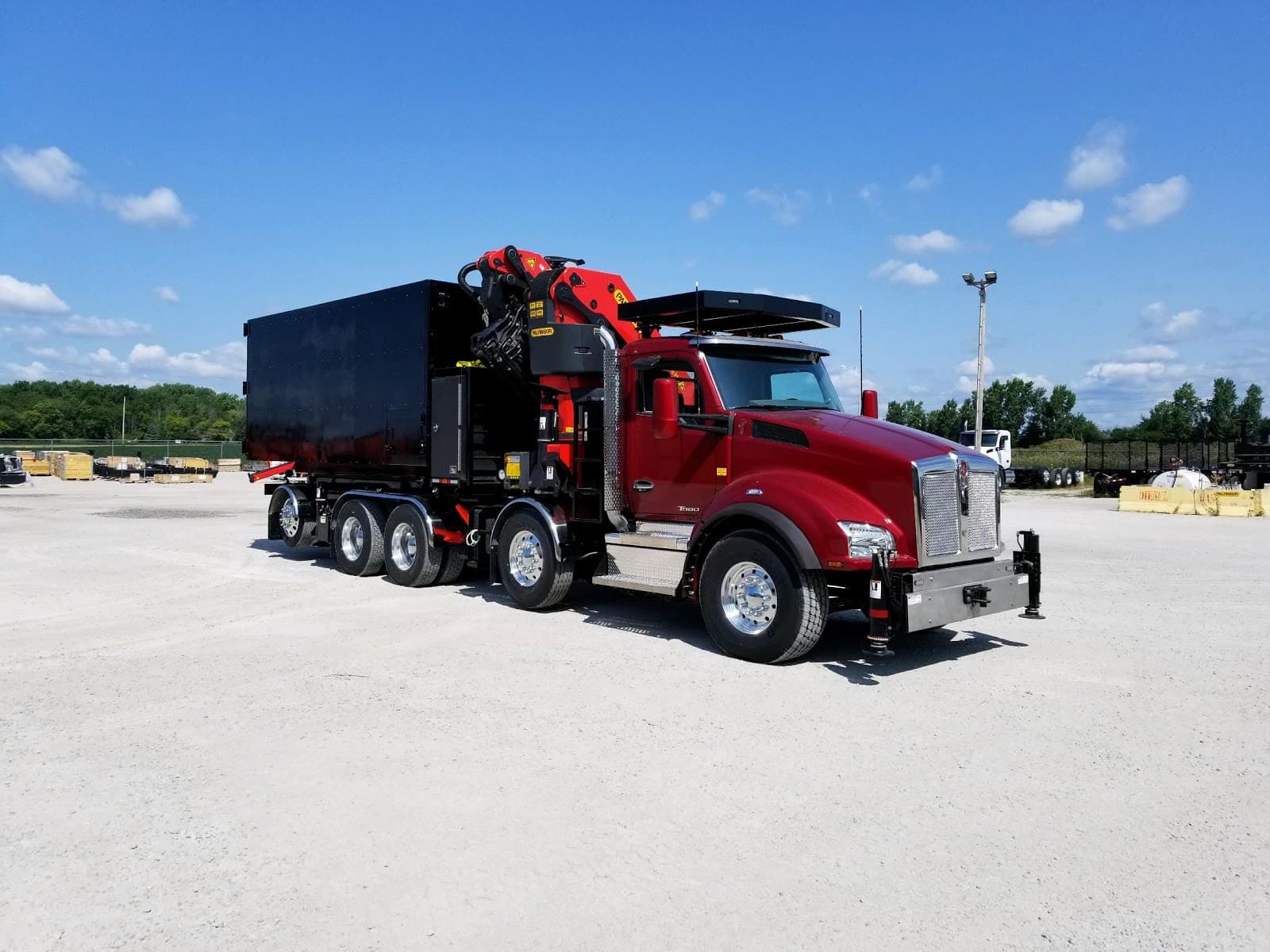Out on a Limb Tree And Land