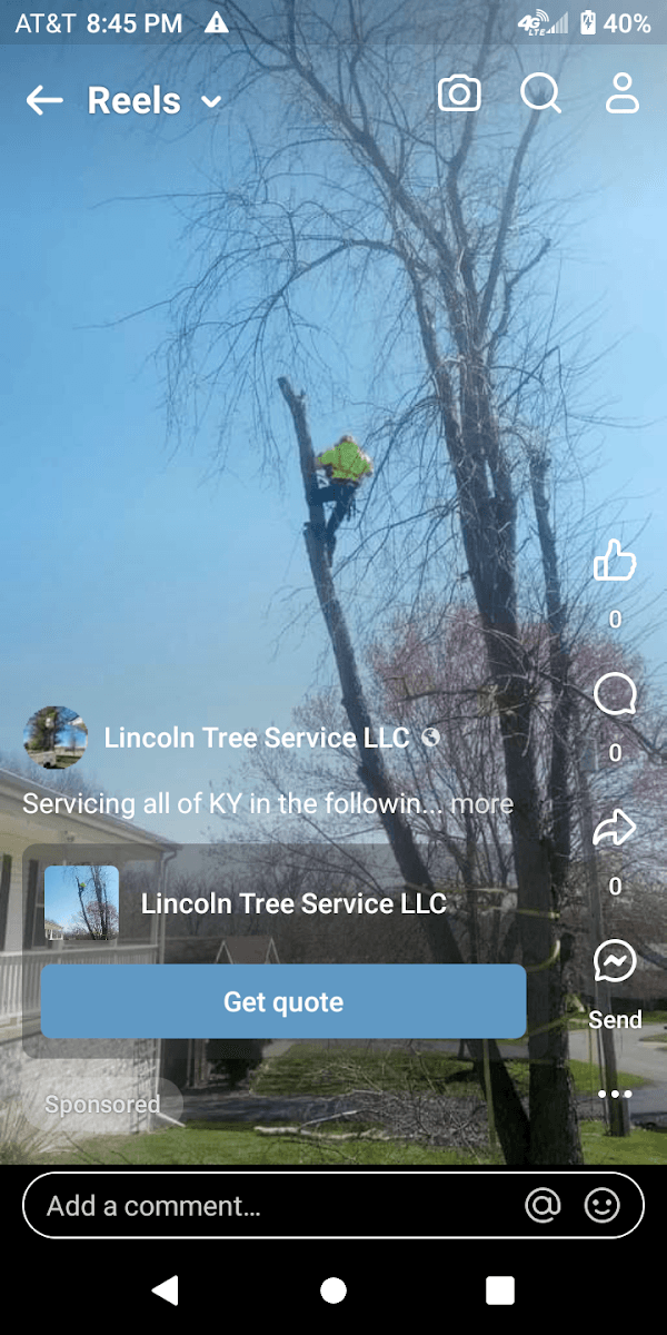 Lincoln Tree Service LLC