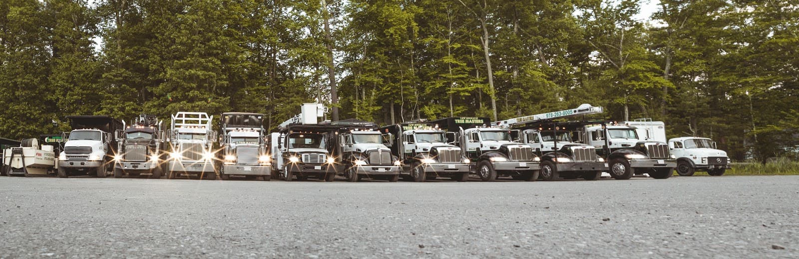 New England Tree Masters | Tree Service in Boxborough MA