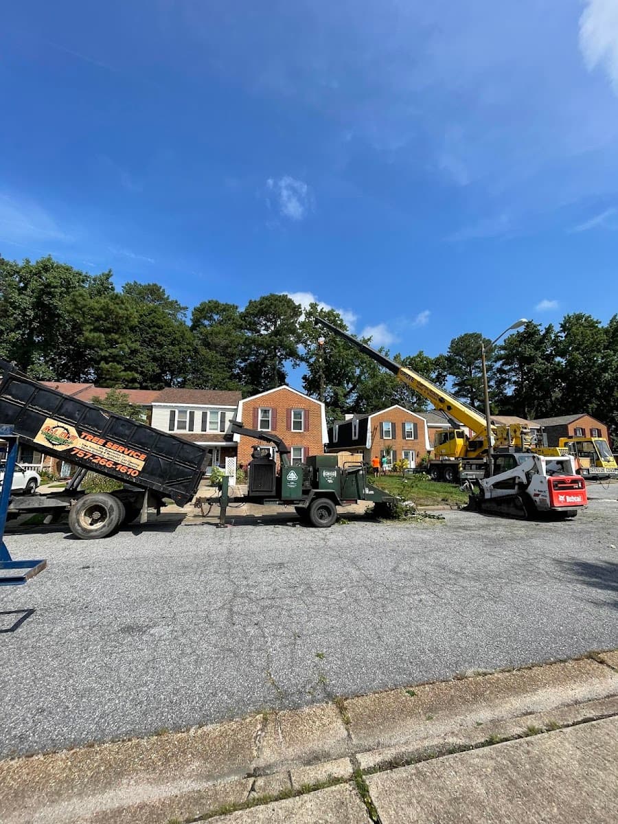 All Out Tree and Stump Removal