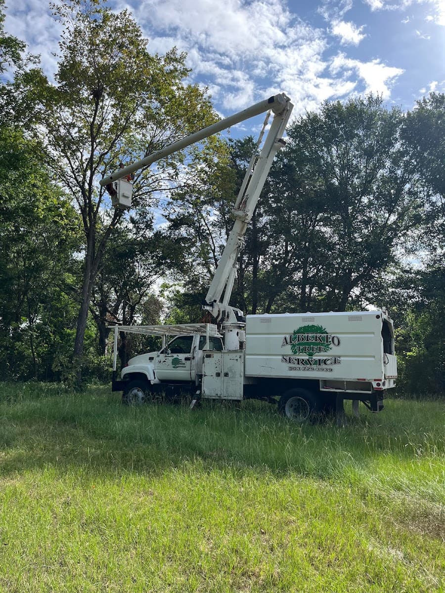 Alberto Tree Service
