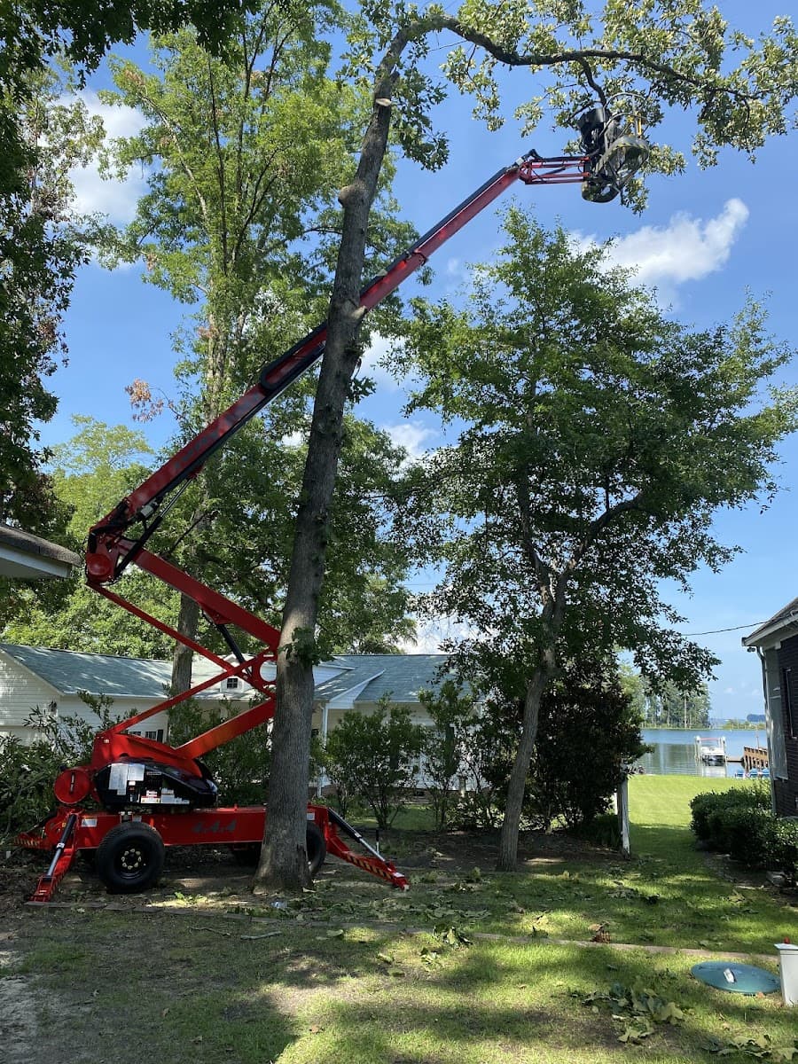 Bear Tree Care LLC - Firemen Owned and Operated