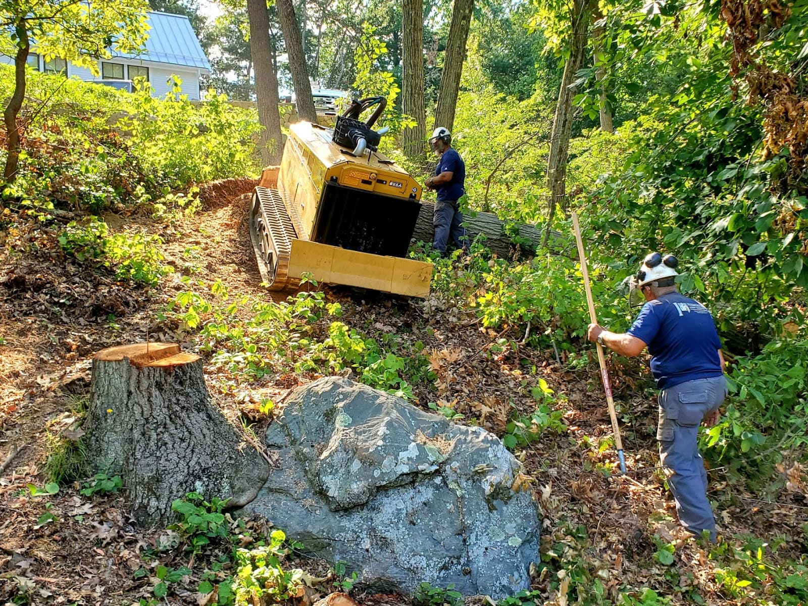 Hercules Stump Grinding
