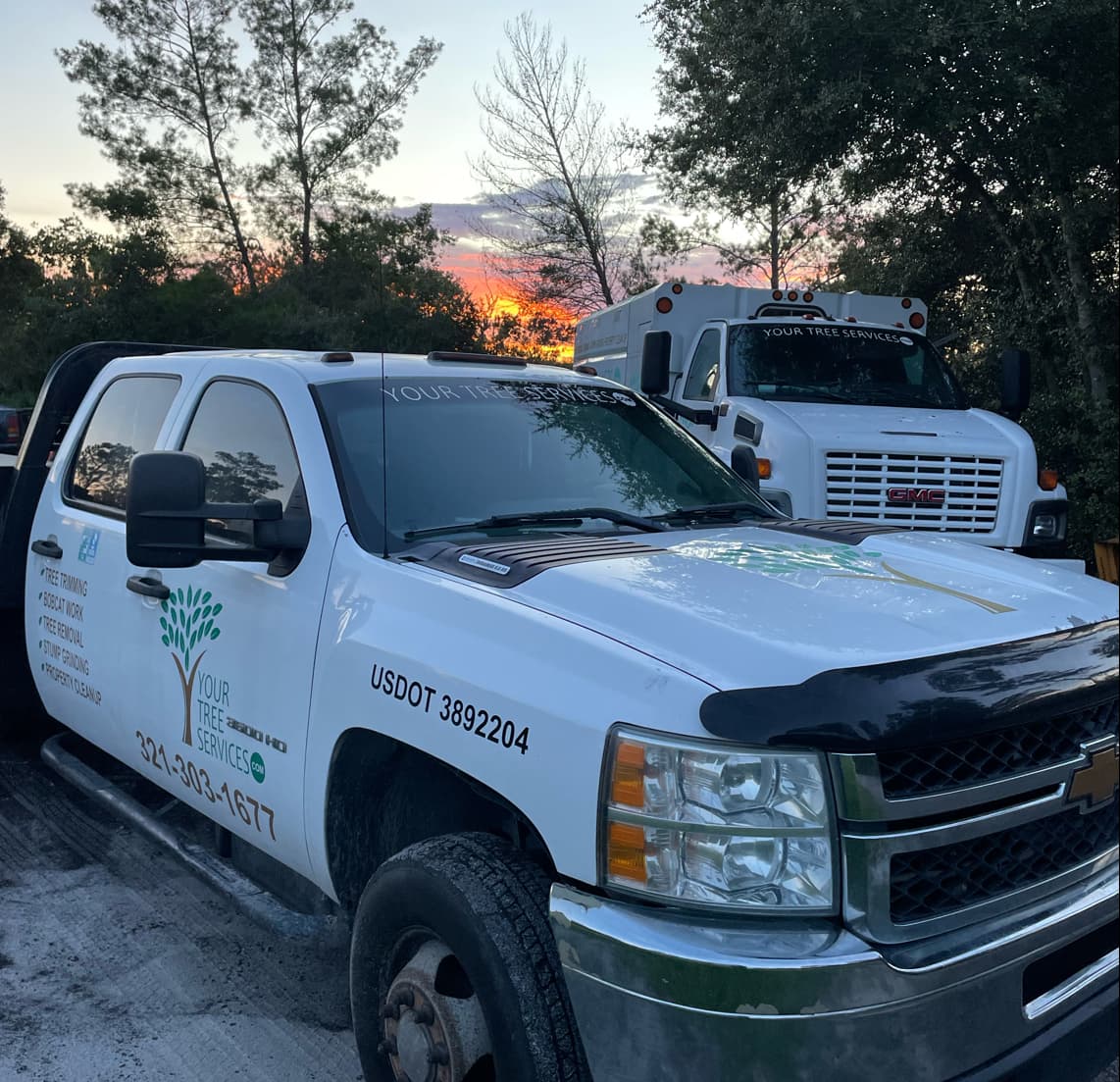 Your Tree Services