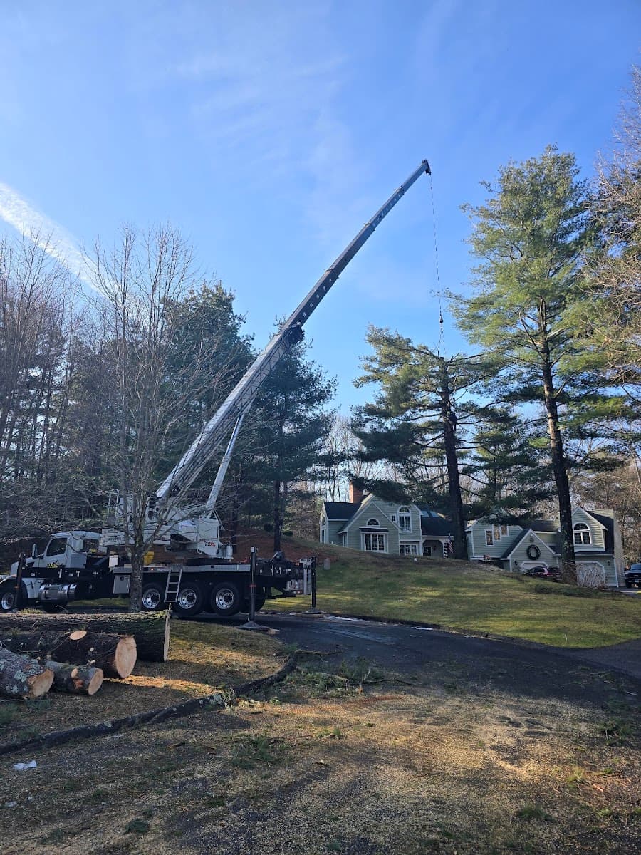 Arbor Care Tree Service, LLC